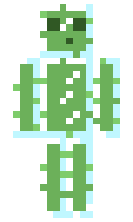 DimitryPlays minecraft skin