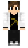 2f8f3ef942301e minecraft skin