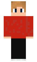 2f981d95cb723c minecraft skin