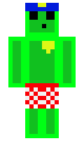 1560 minecraft skin