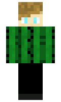 batcam6 minecraft skin