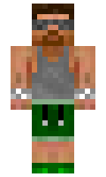 franfree7 minecraft skin