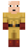 Bebec123 minecraft skin