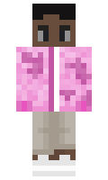 2fcc36b2e46058 minecraft skin