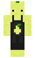 2fd56aa06f1d5b minecraft skin