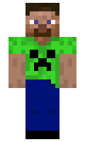 ToyygeRR minecraft skin