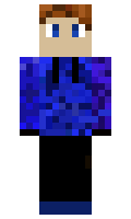 FatGraySeal minecraft skin