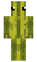 Awesome2011 minecraft skin