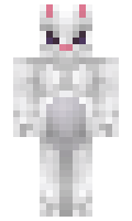 FIB minecraft skin