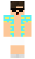 301390ae73655b minecraft skin