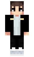 30233a91217219 minecraft skin