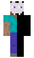 30282c08880673 minecraft skin