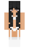 slverstaken minecraft skin
