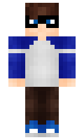 accord minecraft skin