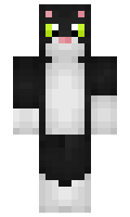 303969b1aa6755 minecraft skin