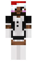 304668b1f9bc51 minecraft skin