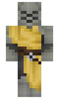 Sinkturtle100 minecraft skin