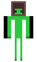 3053a7346bc449 minecraft skin