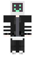 NormalData14179 minecraft skin