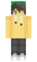 3074ba07b1ebf9 minecraft skin