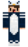 AgelsYT minecraft skin