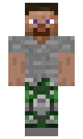 30987273d2b70d minecraft skin