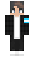 309915eef30028 minecraft skin