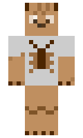 tebill2918 minecraft skin