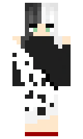 SdV minecraft skin