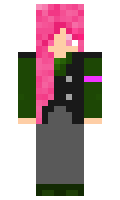 30f29670501072 minecraft skin