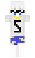 31085c22d49f0e minecraft skin