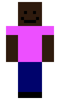 bedwarsmcpro minecraft skin