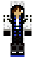 479 minecraft skin