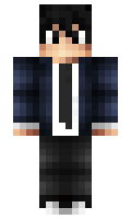 vijid minecraft skin