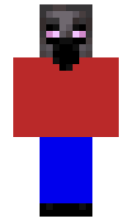 Hacker1 minecraft skin