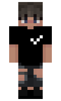 CompassToggled minecraft skin