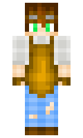 317428d1fd91b0 minecraft skin