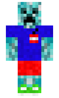 BartekBig minecraft skin