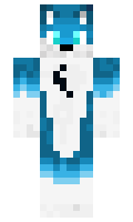 springi minecraft skin