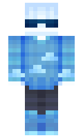 C10WD minecraft skin