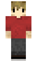 31942d87c6a276 minecraft skin