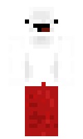 coolguys minecraft skin