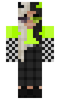 tommyLmao minecraft skin