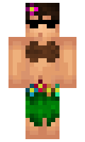 3202a5aa34d455 minecraft skin