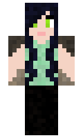 RandomBlackCat minecraft skin