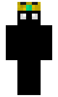 321e64296c4980 minecraft skin