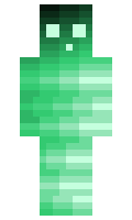 privrr minecraft skin