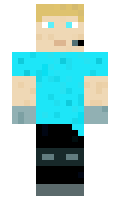 fabicraft minecraft skin