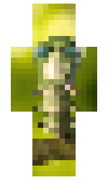 Scaterr minecraft skin