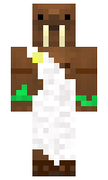 326b4762aa8c61 minecraft skin